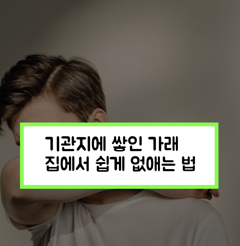  병원 안가고 기관지에 쌓인 가래 없애는 방법 
