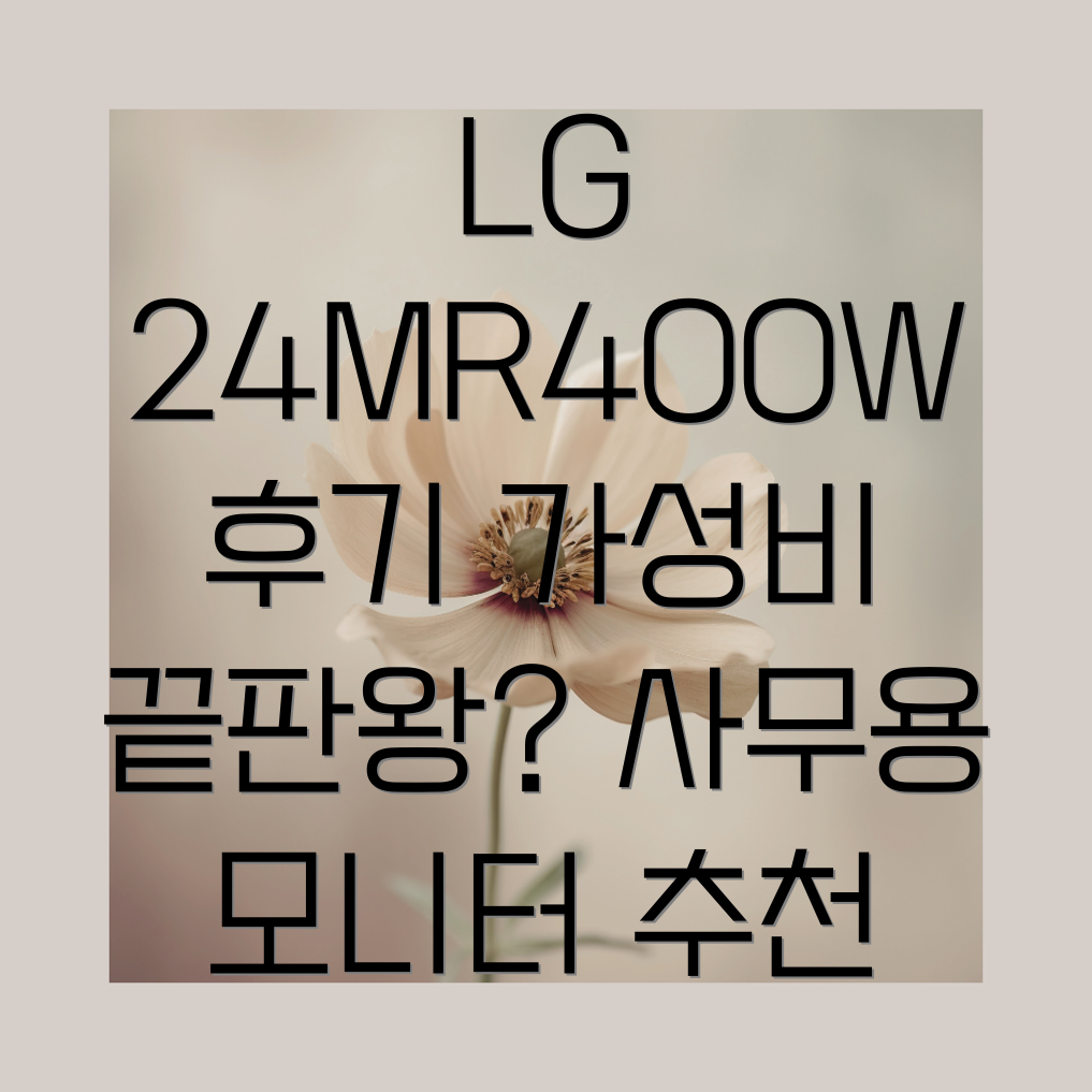 LG 24MR400W