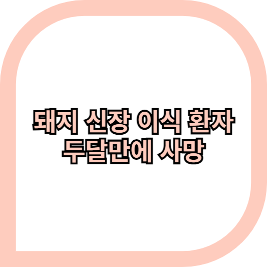 시사상식 돼지신장이식 썸네일