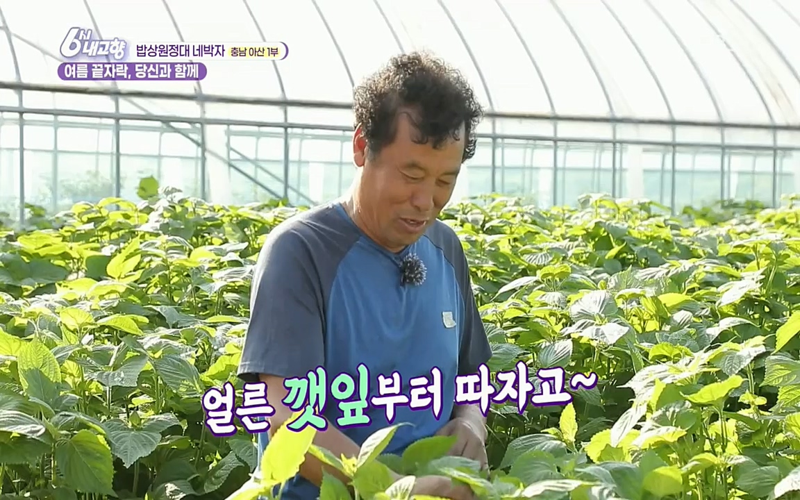 6시 내고향.E7608.220832p.H264-F1RST.mp4_20220901_204409.867.jpg