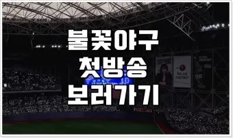 불꽃야구 방송 방송국 직관 총정리_3