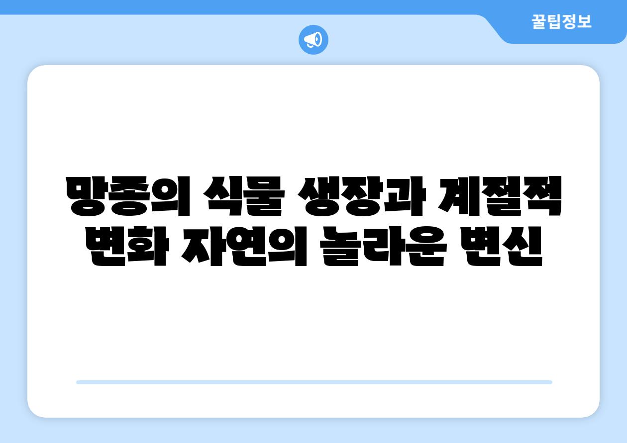 망종의 식물 생장과 계절적 변화 자연의 놀라운 변신