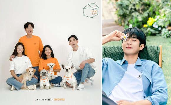  프로젝트엠 유기동물 입양 포인핸드와 협업 홈런 캠페인 진행