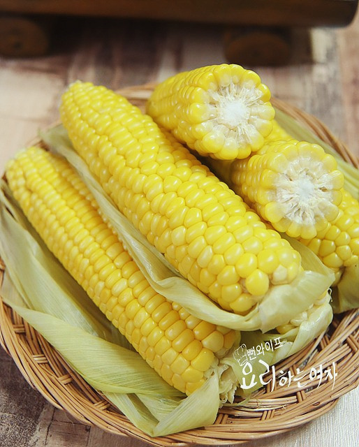 초당 이미지