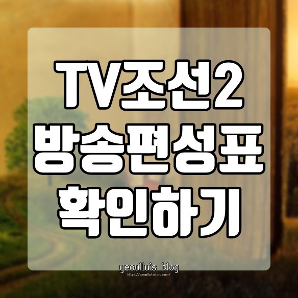  TV조선2 방송 편성표 확인하기