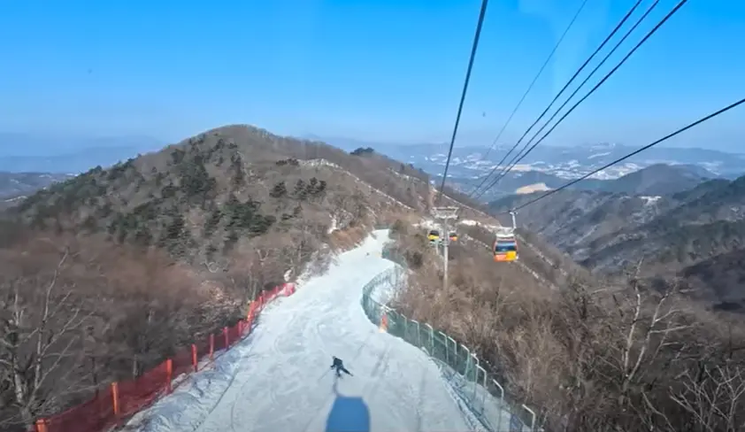 겨울방학 국내 여행지- 갈색 숲사이 스키장을 내려가는 스키어 우측 케이블카