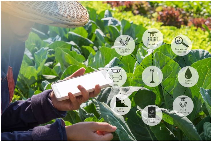  스마트팜에서 수집해야하는 데이터는 어떤것들일까?
