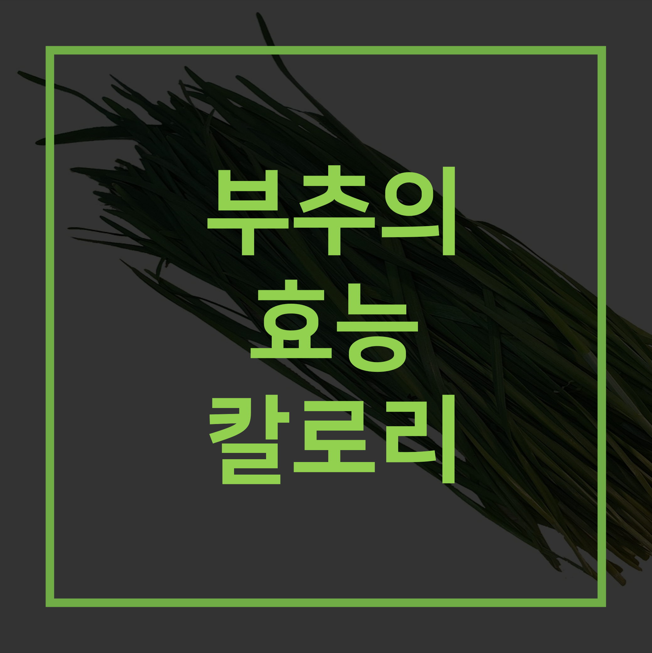 부추의 효능 칼로리 제목 사진