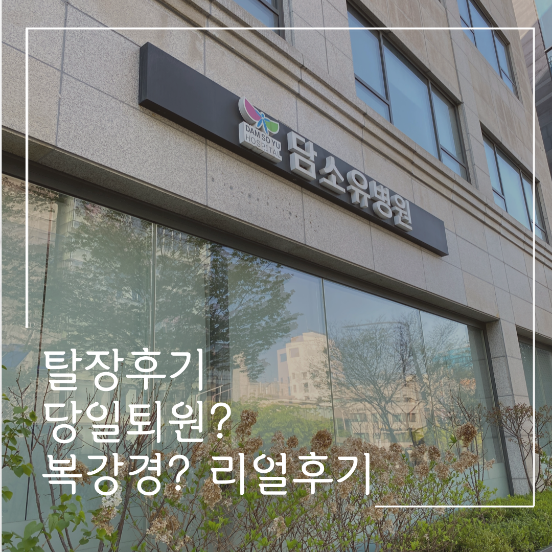  담소유 탈장수술 후기. 성인탈장 서혜부탈장