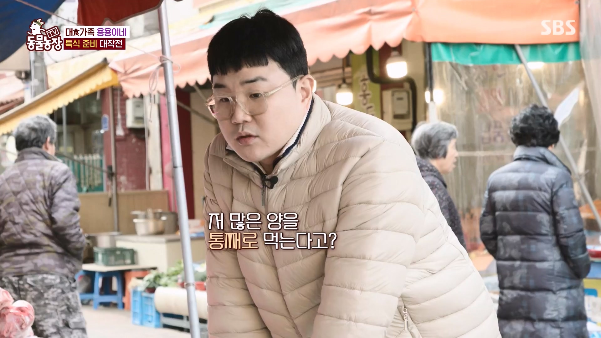 TV 동물농장.E1162.240310p-NEXT.mp4_20240310_162858.847.jpg