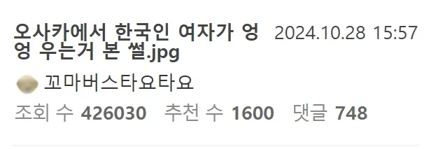 오사카 길바닥에서 펑펑우는 한국여자 본 썰