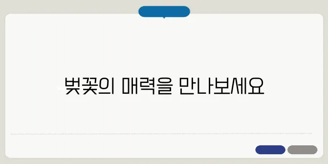 2025 구례 벚꽃축제 일정 & 섬진강 벚꽃길 정보