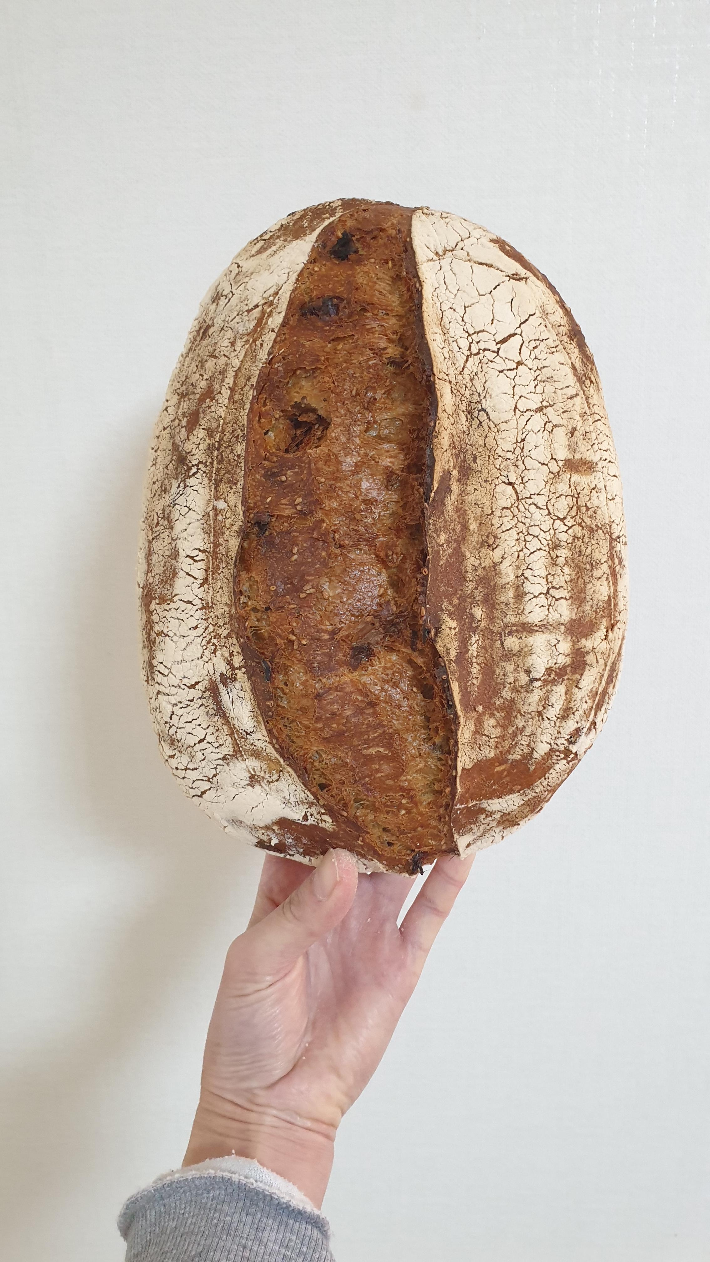 참깨 육포 깜파뉴 사워도우빵