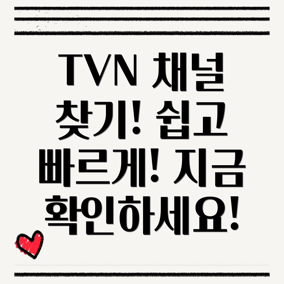 TVN 채널번호