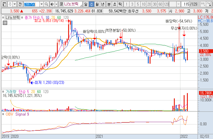 나노브릭-주가-흐름-차트