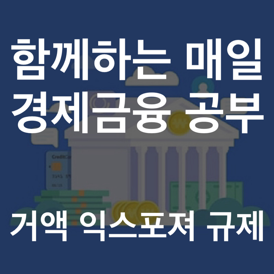 함께하는 경제금융 공부 거액 익스포저 규제