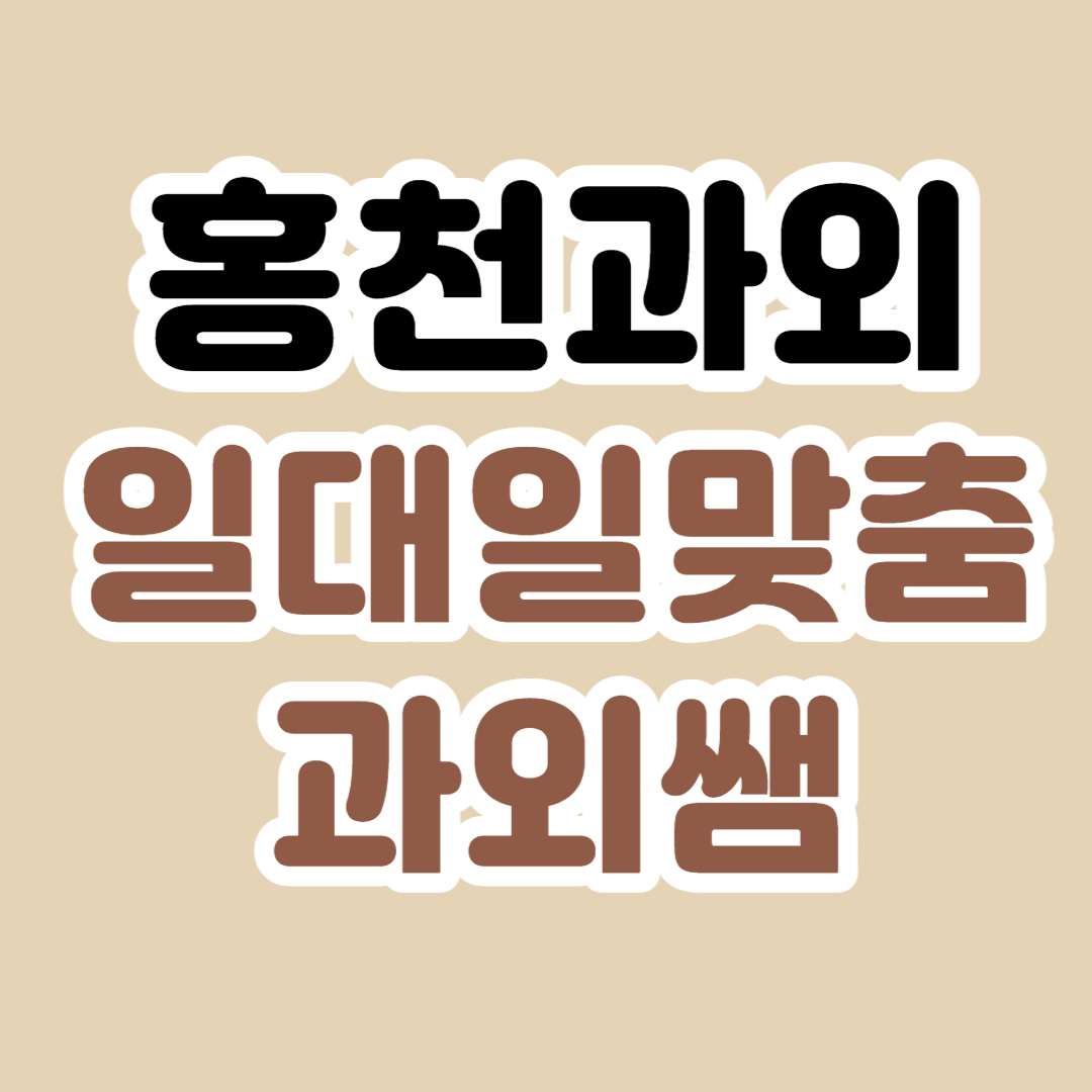  홍천 중학생 영수과외 수학 고등 일대일과외 국어 초등 전문 개인