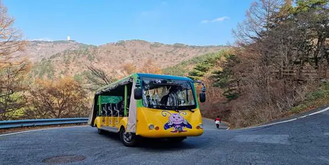 비슬산자연휴양림숲속캠핑장