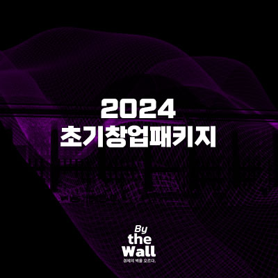  2024 초기창업패키지 정보 정리