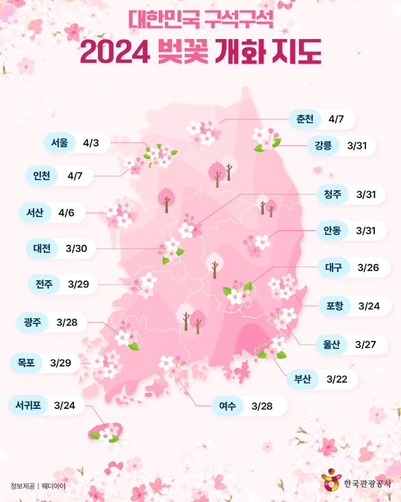 2024 벚꽃 개화 시기 및 축제 일정 안내