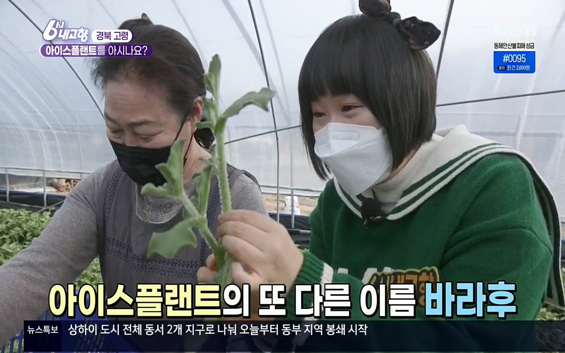 6시 내고향.E7498.220329p.H264-F1RST.mp4_20220329_181330.569.jpg