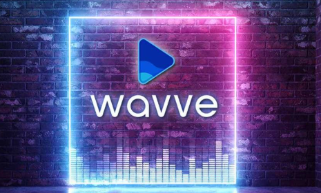 KB국민카드로 결제한 Wavve 관련 사진