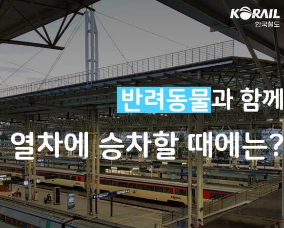 강아지 동반 대중교통(KTX&amp;#44; SRT&amp;#44; 고속버스) 이용하는 방법