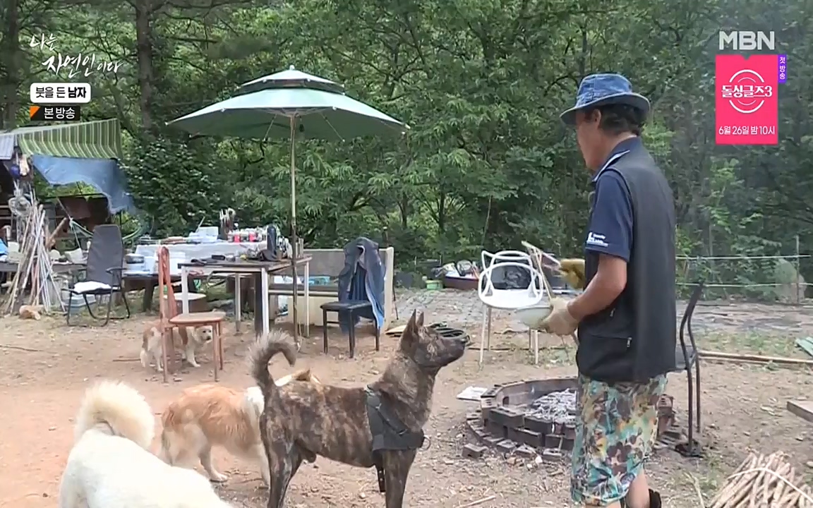 나는 자연인이다.E506.220616p-NEXT.mp4_20220616_200857.165.jpg