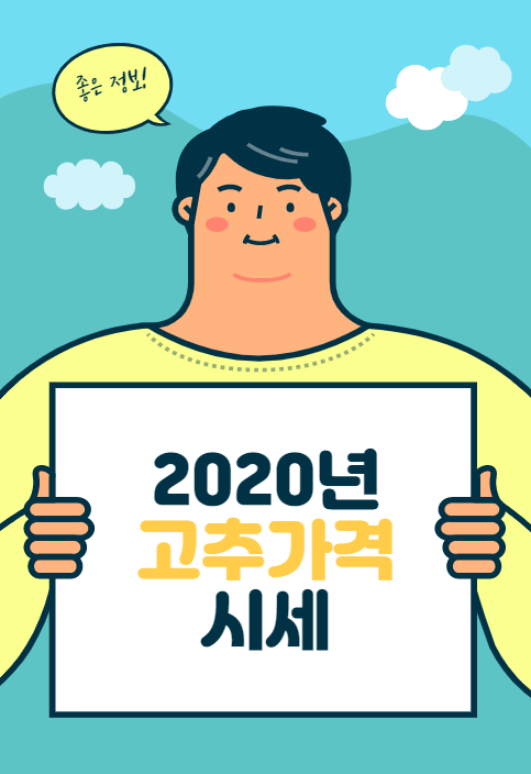  2020년 고추가격시세