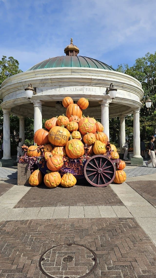 img.jpg