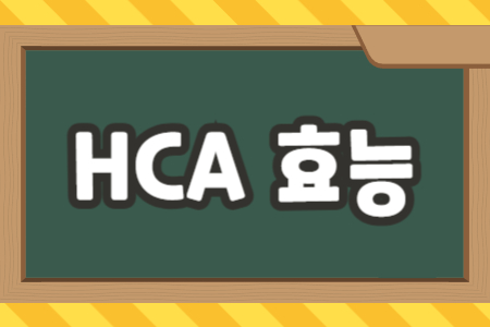 HCA 효능