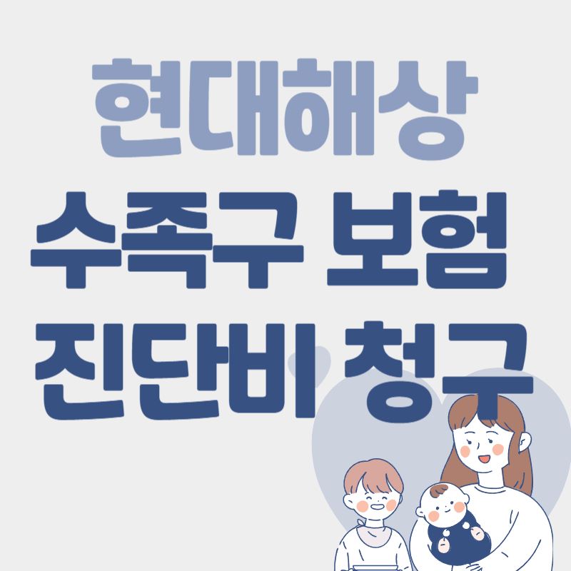  [수족구 보험] 현대해상 수족구 진단비 청구