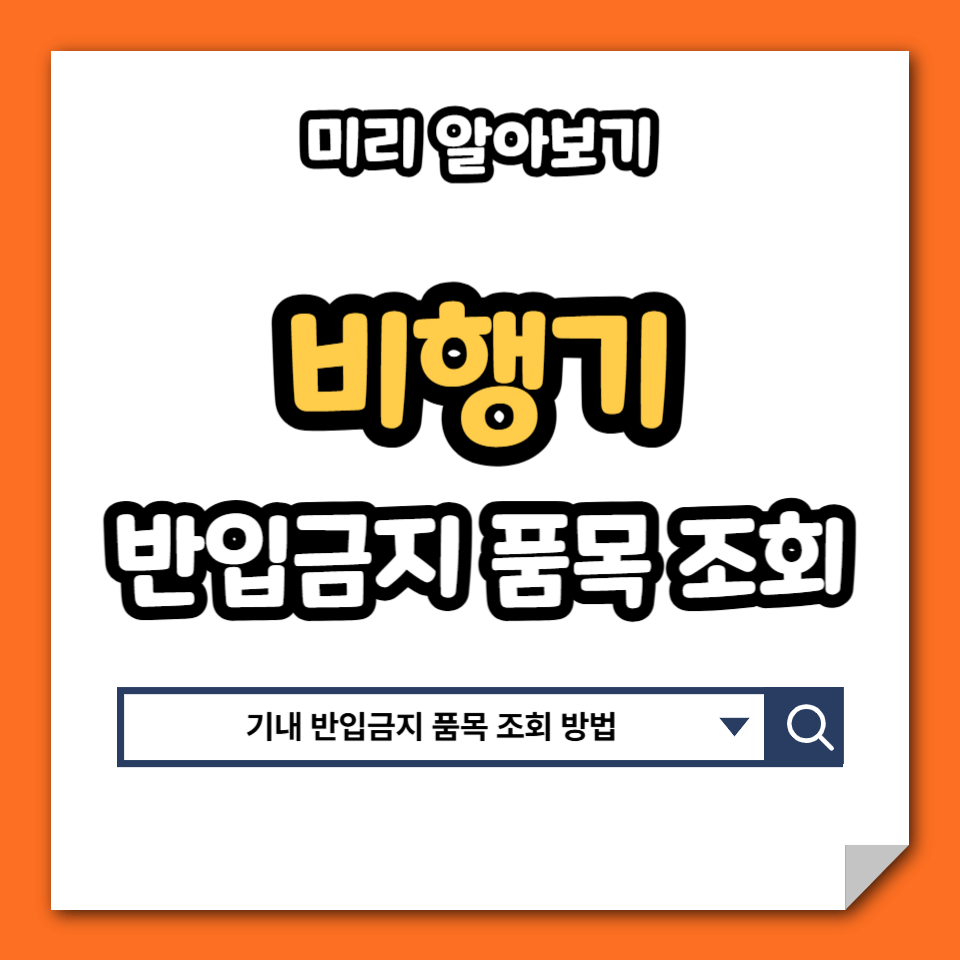 비행기 반입금지 품목 조회