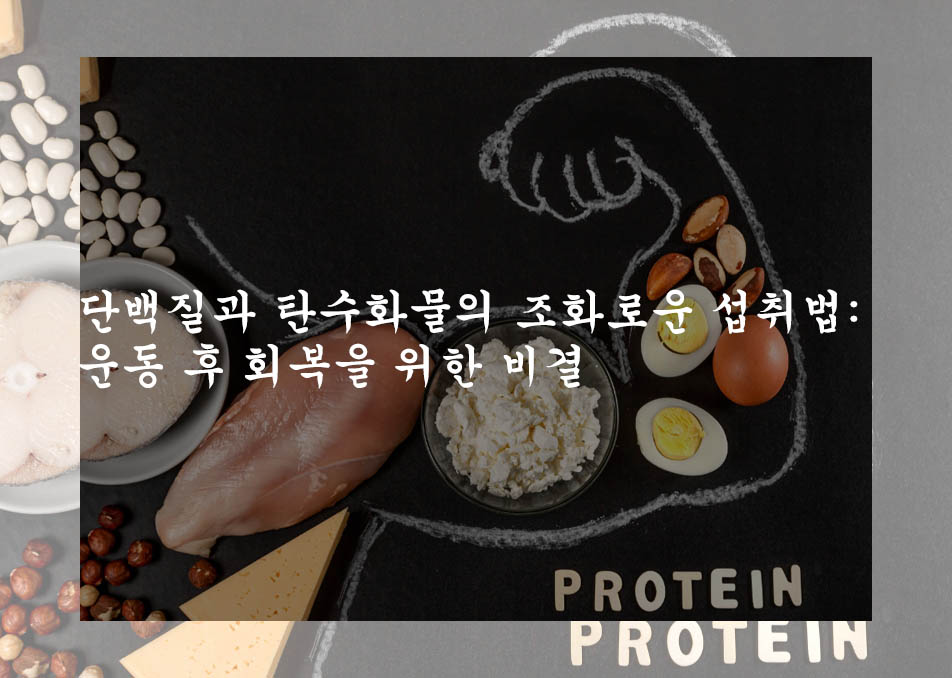  단백질과 탄수화물의 조화로운 섭취법: 운동 후 회복을 위한 비결