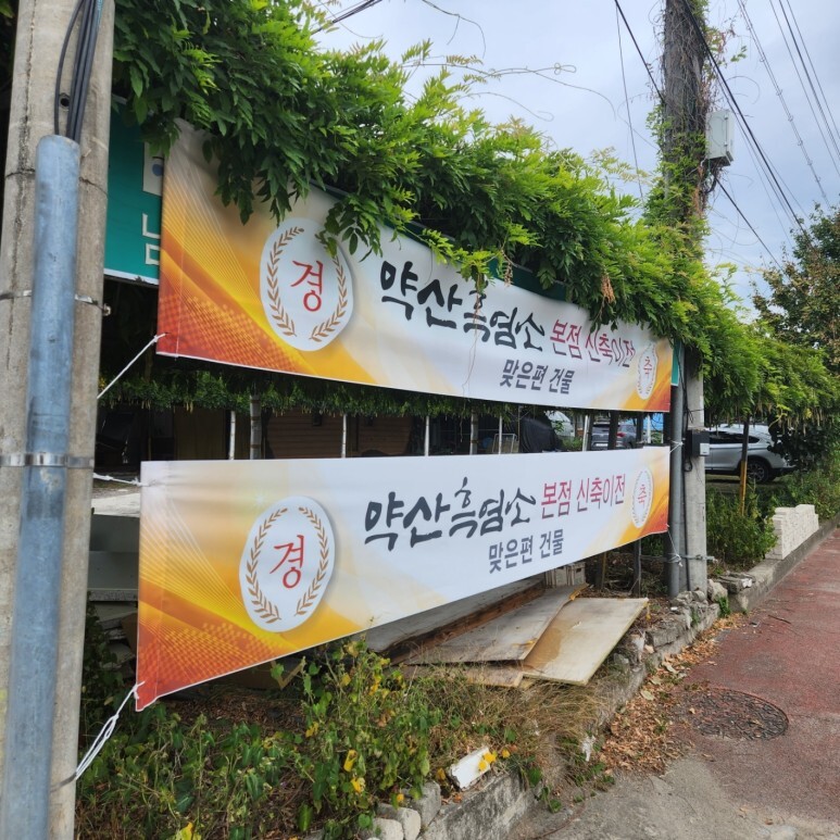 약산흑염소 이미지
