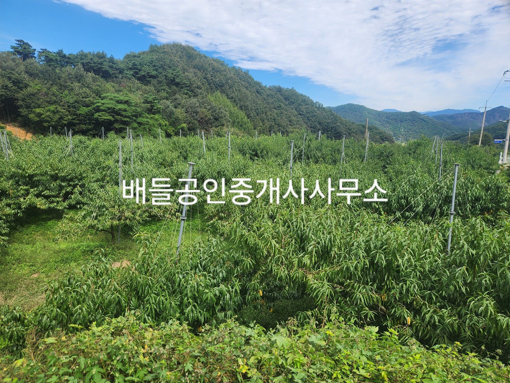 밭 이미지
