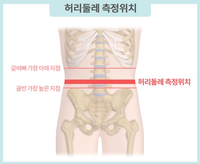 비만관리 - 체질량지수(BMI) 계산기&#44; 살이 찌는 이유&#44; 살빼는 방법