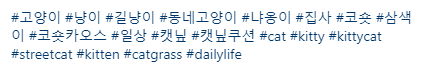 인스타그램-해시태그