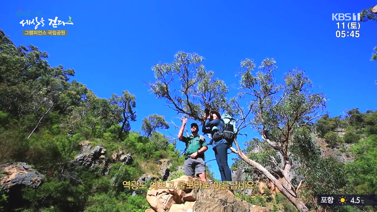 트레킹노트 세상을 걷다.E296.231112p-NEXT.mp4_20231111_181551.979.jpg