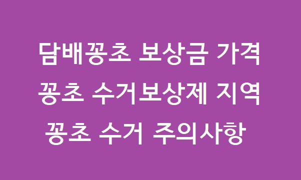 담배꽁초 보상금