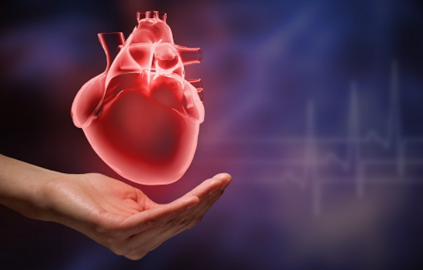 협심증 초기증상 협심증 초기증상체크하고, 4