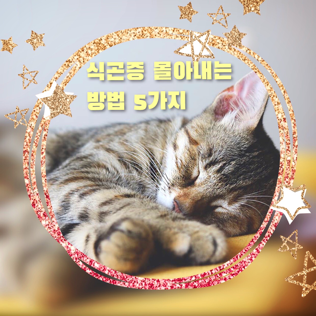  식곤증 몰아내는 방법 5가지