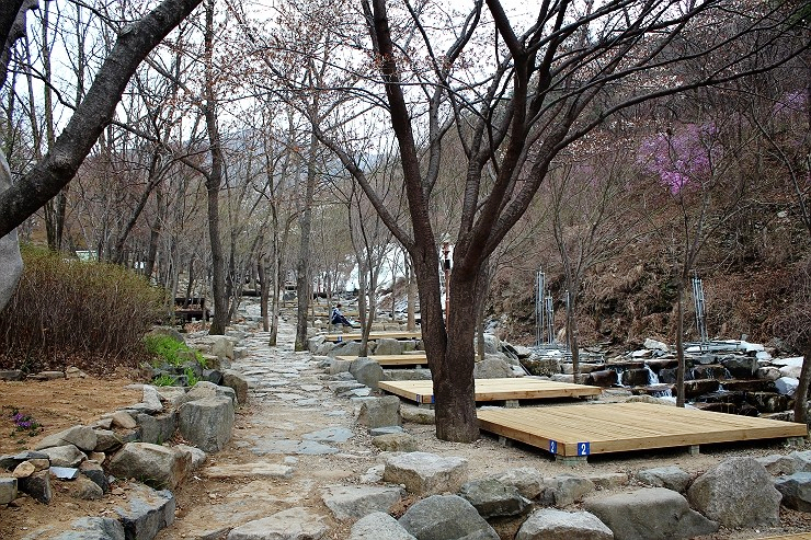 주말 가볼만한곳 베스트10 대구여행 가볼만한곳 팔공산 14