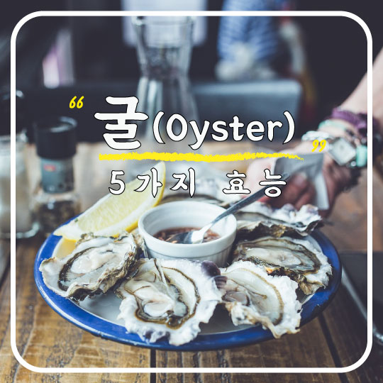  [겨울철 제철음식] 카사노바의 식품 굴의 5가지 효능과 섭취 시 주의점