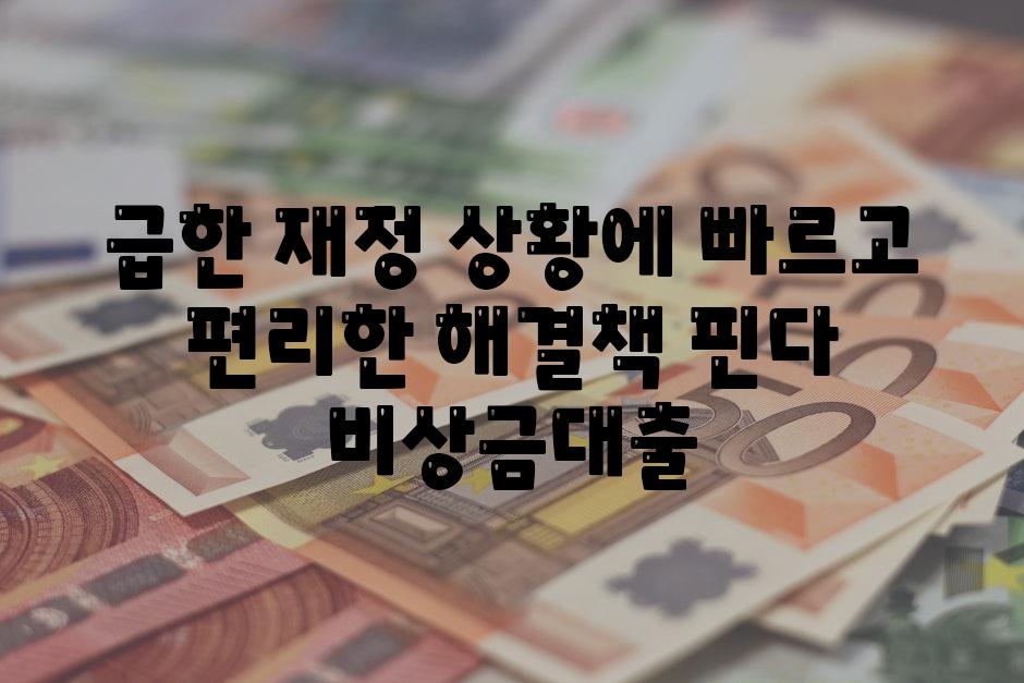 급한 재정 상황에 빠르고 편리한 해결책 핀다 비상금대출