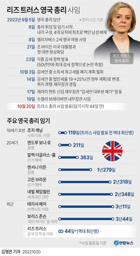 리즈 이미지