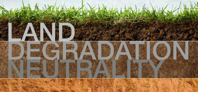 삼림 서비스,  제1회 유엔사막화방지협약 “파트너십상” 수상