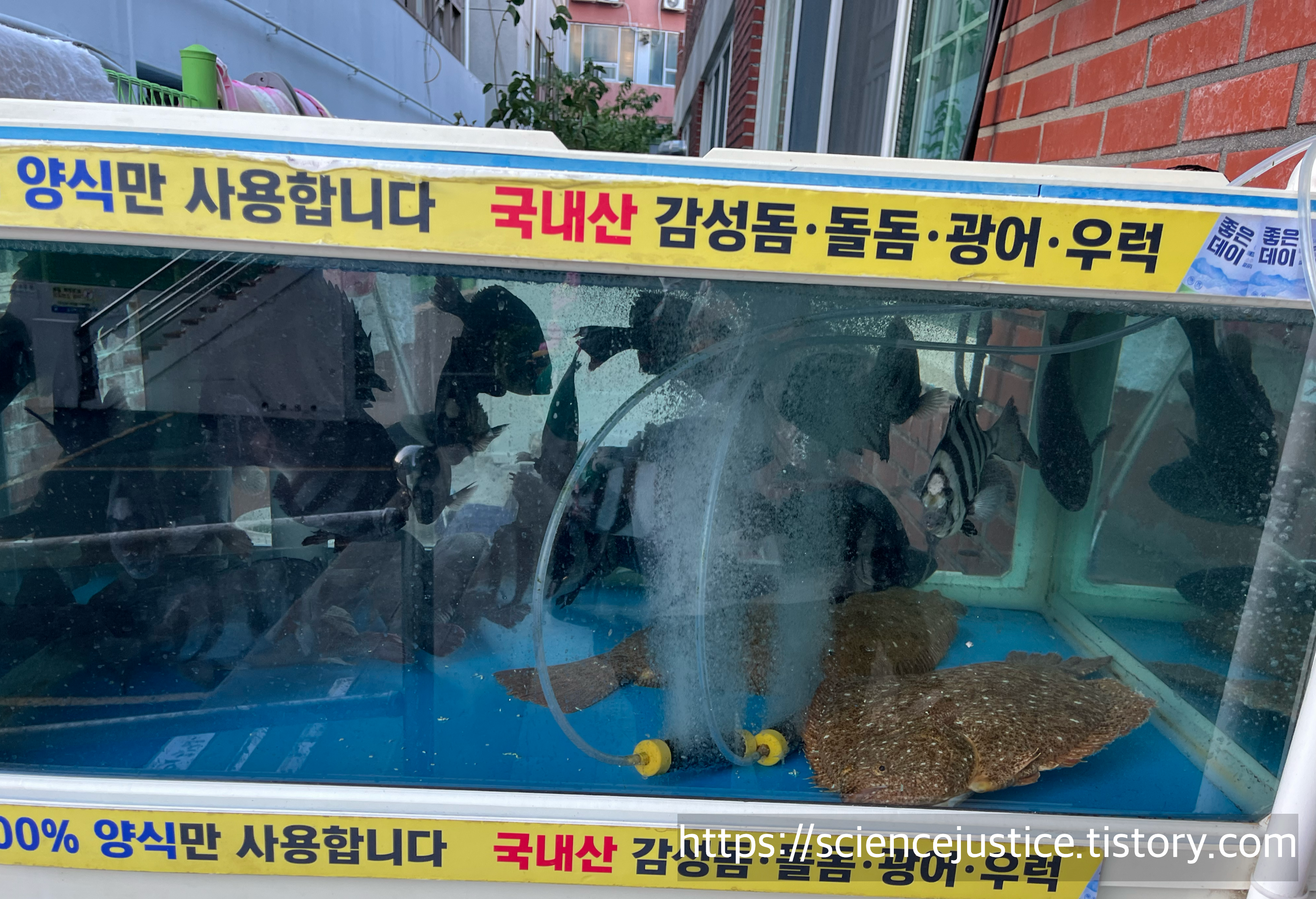 남해달인횟집 이미지