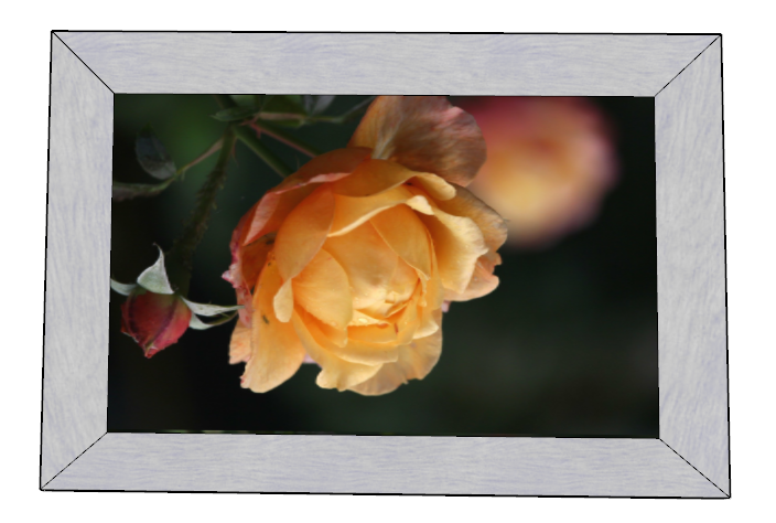 이미지가 뒤집혀서 들어갔을 때