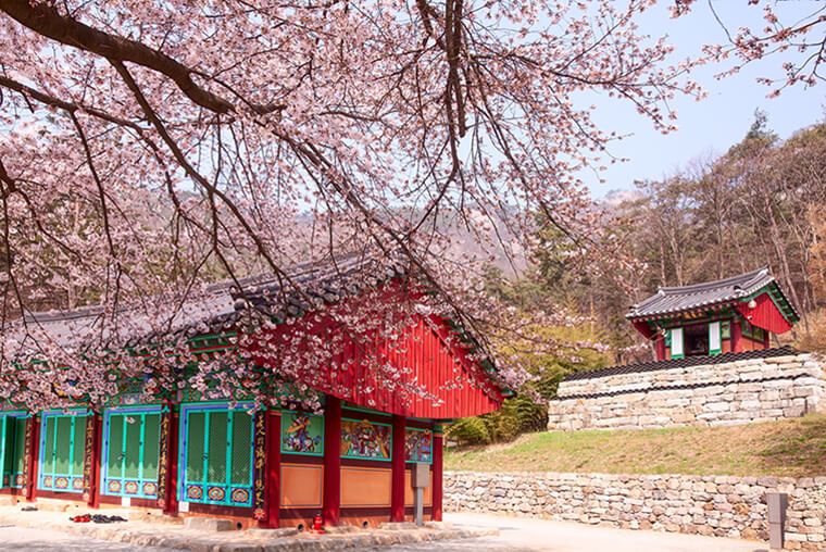 전남부안 내소사
